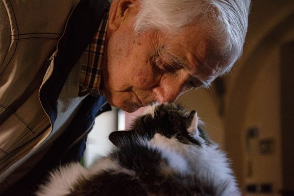 Close-up photograph of an elderly man with white hair, dressed in a plaid shirt and beige outdoor jacket, leaning over and tenderly nuzzling a sitting black and white fluffy cat, captured in warm lighting that creates an intimate, affectionate mood